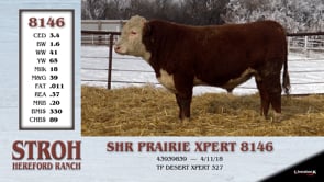 Lot #8146 - SHR PRAIRIE XPERT 8146