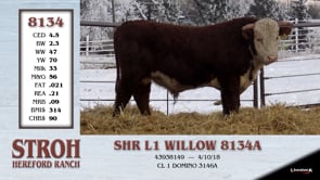 Lot #8134 - SHR L1 WILLOW 8134A