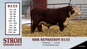Lot #8133 - SHR SENSATION 8133