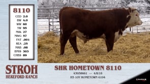Lot #8110 - SHR HOMETOWN 8110