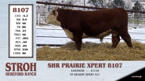 Lot #8107 - SHR PRAIRIE XPERT 8107