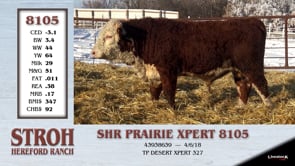 Lot #8105 - SHR PRAIRIE XPERT 8105