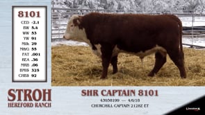 Lot #8101 - SHR CAPTAIN 8101