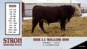 Lot #899 - SHR L1 WILLOW 899