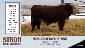 Lot #898 - MLS - COWBOYUP 898