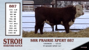 Lot #887 - SHR PRAIRIE XPERT 887