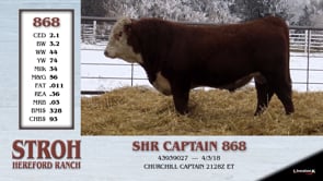 Lot #868 - SHR CAPTAIN 868