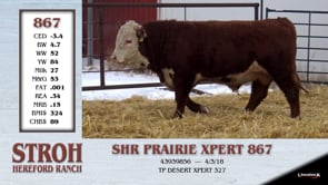 Lot #867 - SHR PRAIRIE XPERT 867