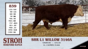 Lot #839 - SHR L1 WILLOW 3146A