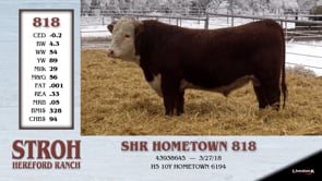 Lot #818 - SHR HOMETOWN 818