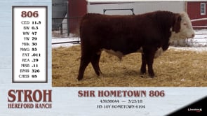Lot #806 - SHR HOMETOWN 806