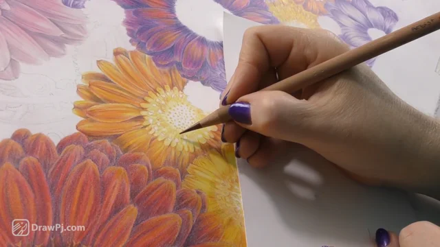 The Joy of Colour Pencils - Learn to Draw and Color with Cindy Wider