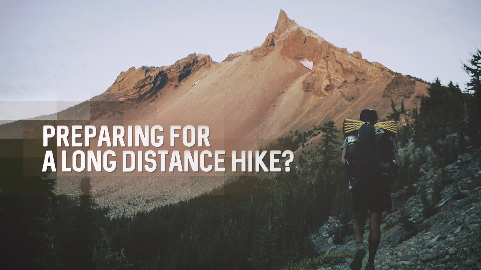 The ALDHA West 2020 Rucks!