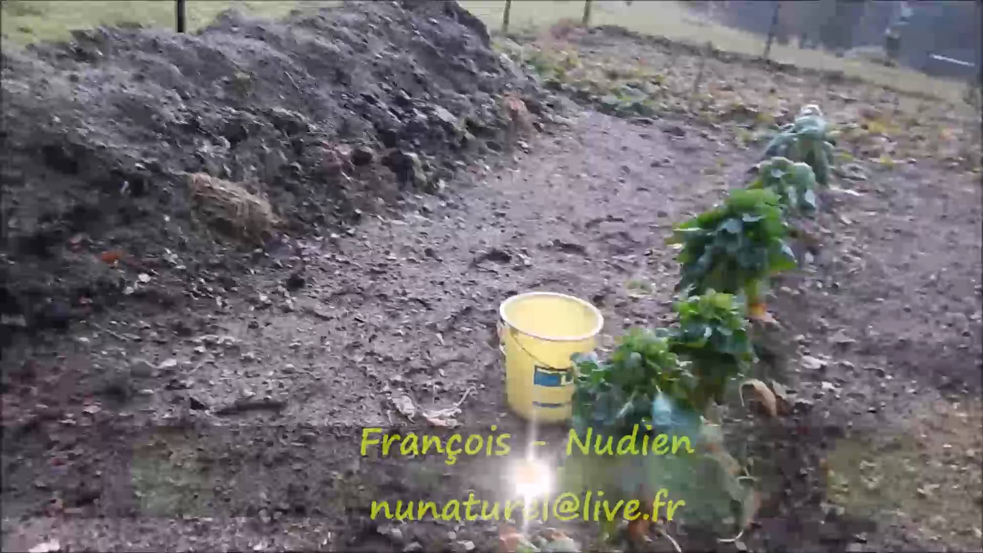 Récolte des chouxdeBruxelles on Vimeo