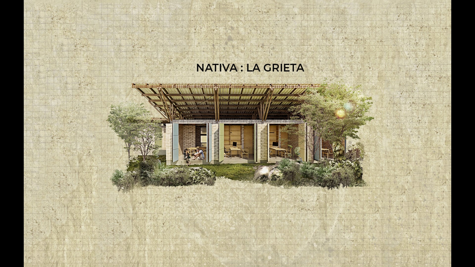 NATIVA: la grieta