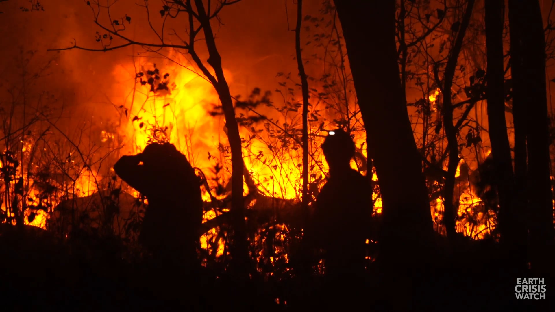 Bolivia's Fires were No Accident