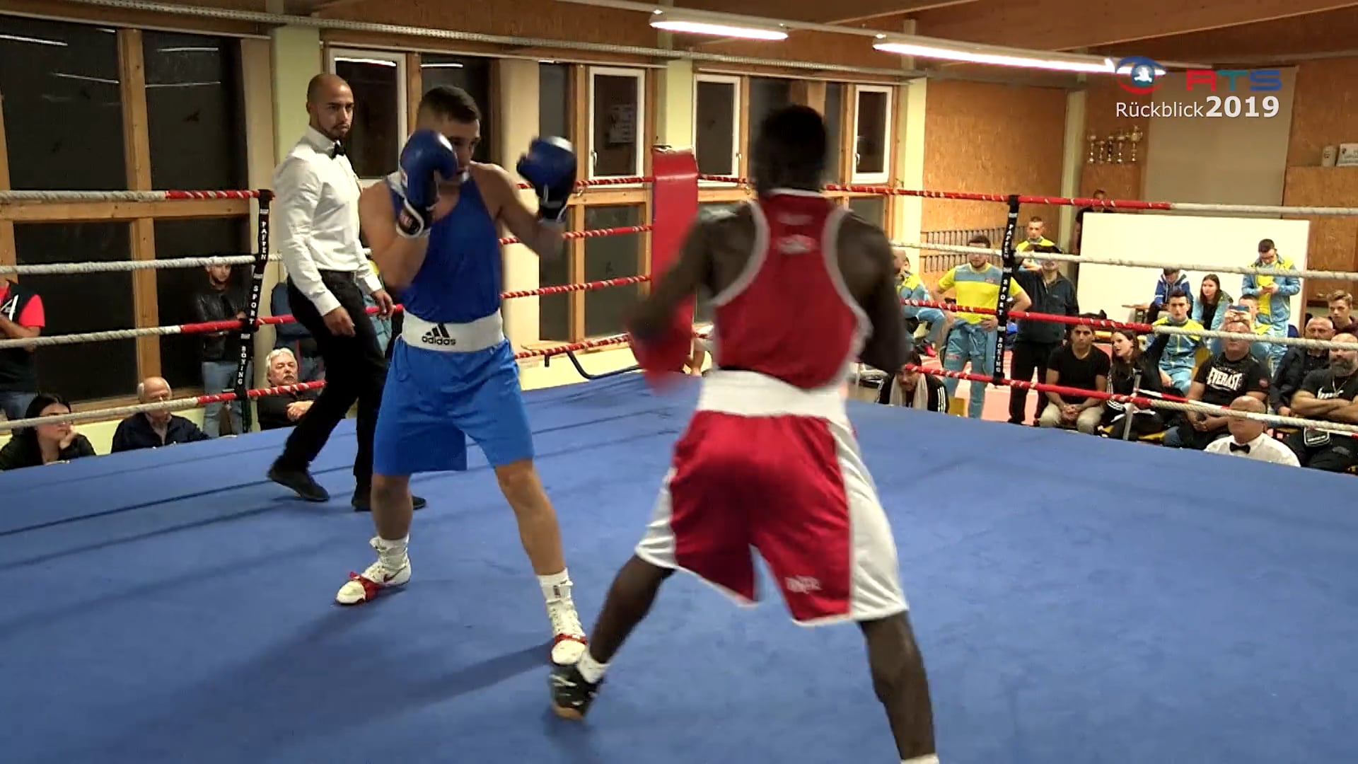 jahresrueckblick-2019-sport-bewegung