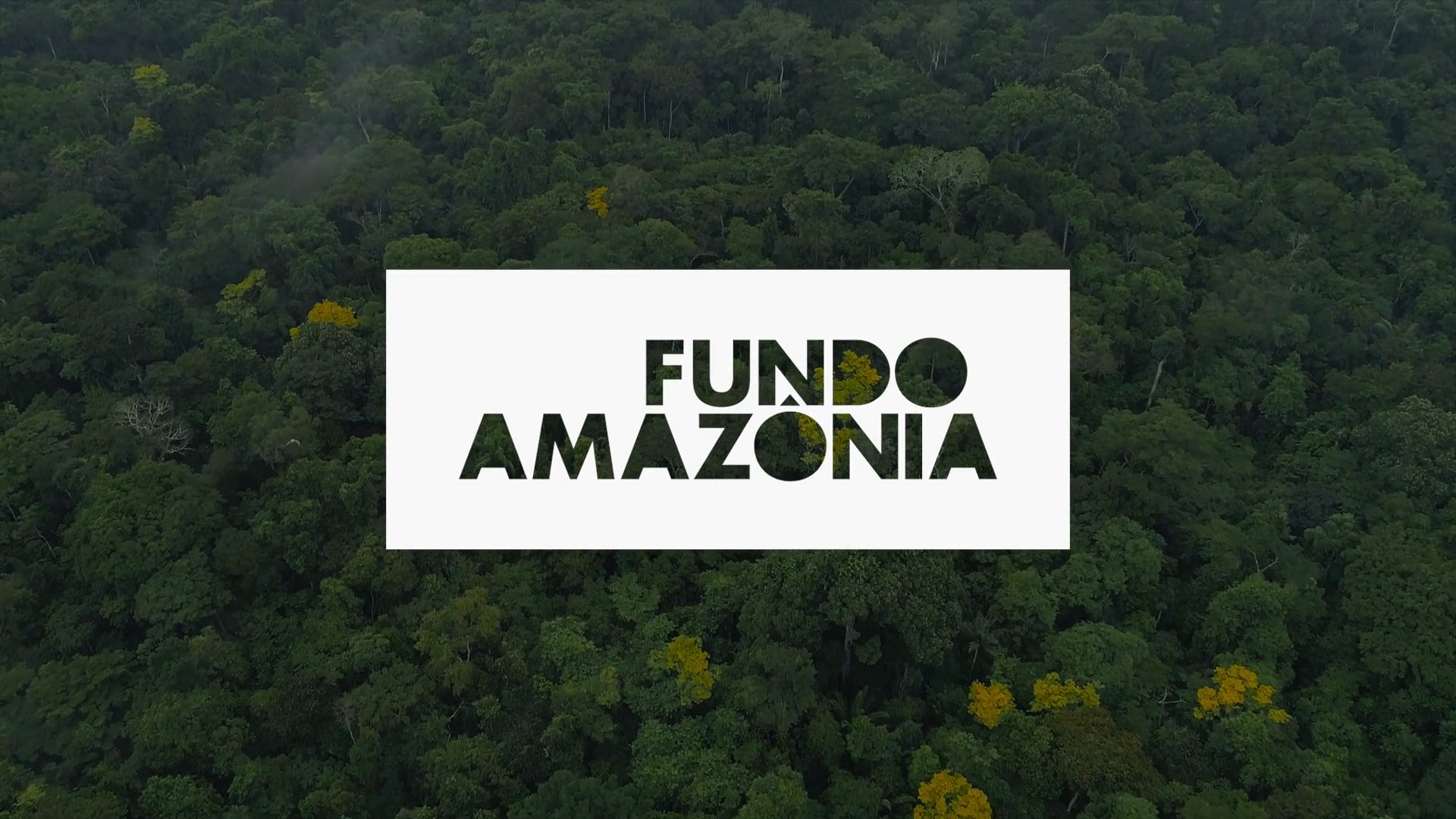 Fundação Banco do Brasil I Fundo Amazônia