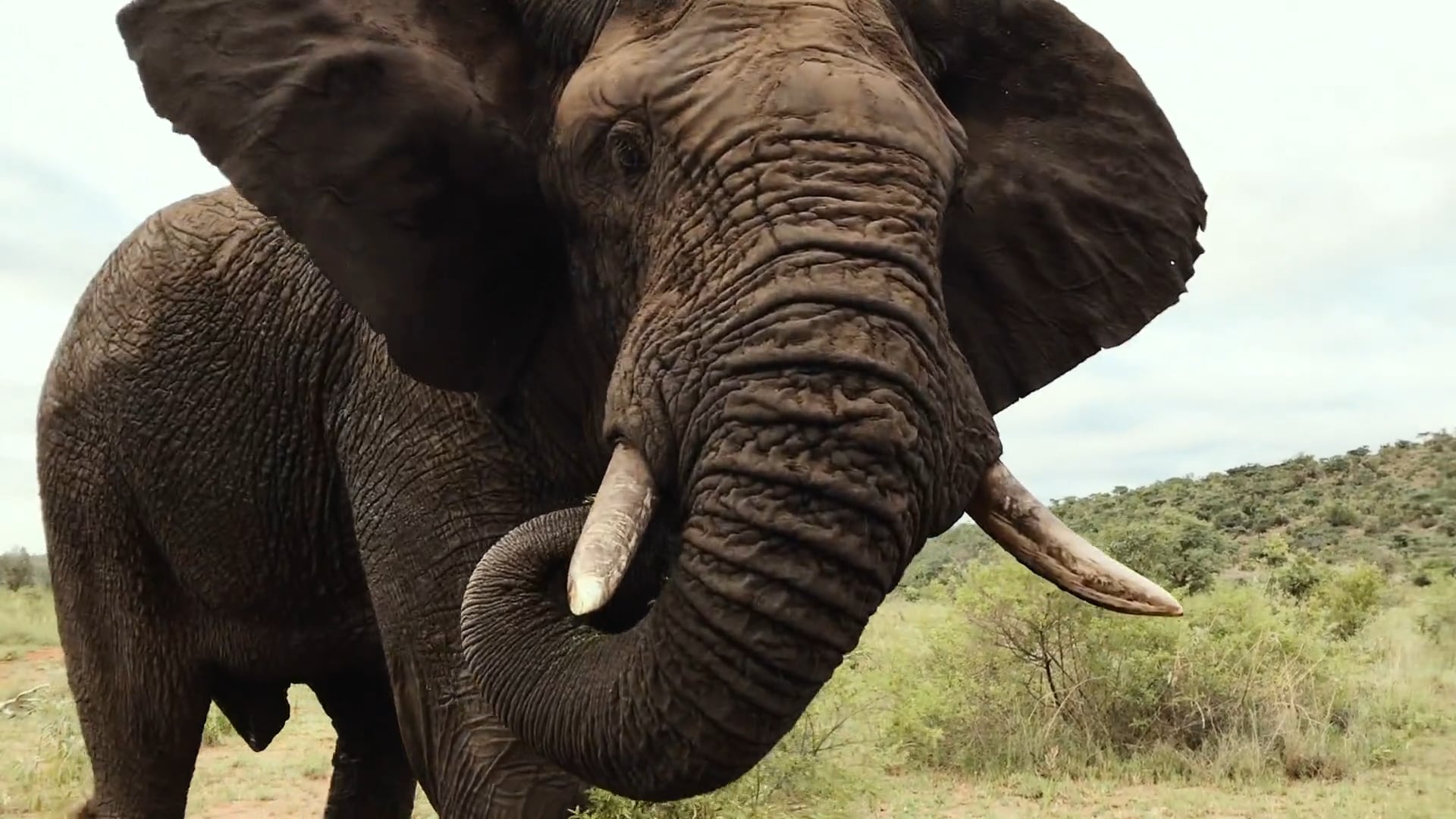 South Africa