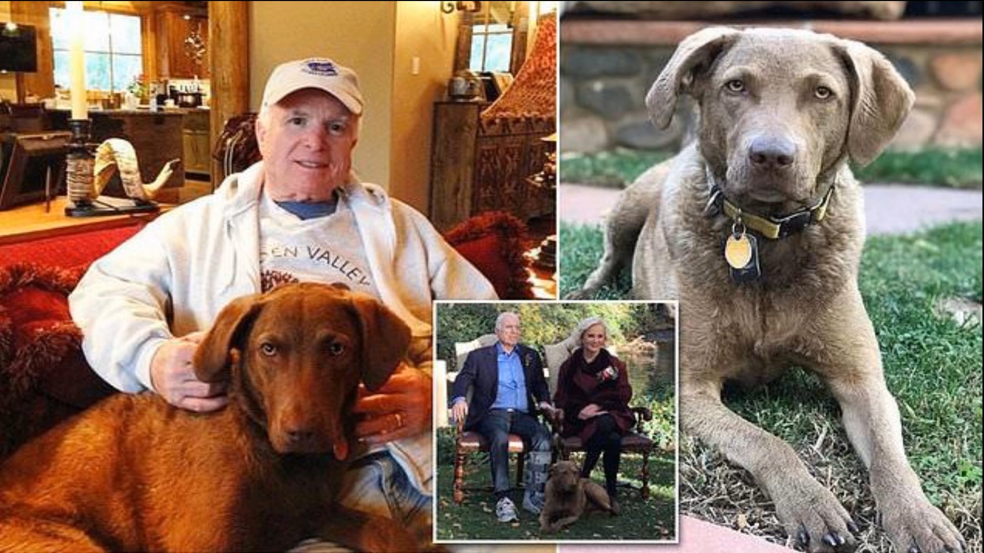 Dog Bacteria Lethal to Humans on Vimeo