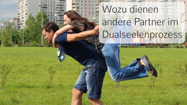 Wozu dienen andere Partner im DS Prozess?