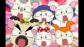 Videos About Hamtaro On Vimeo