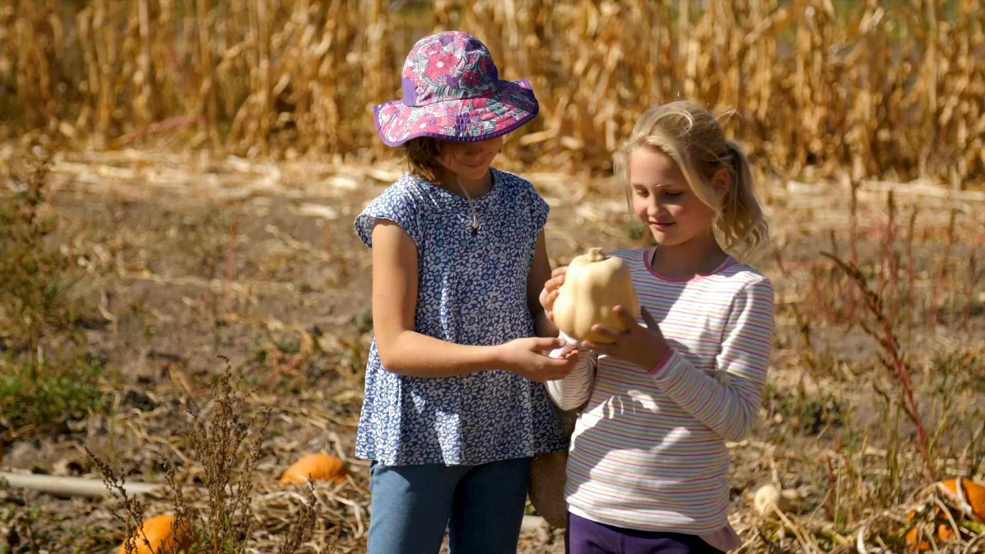 Waldorf Pedagogy - Summerfield Waldorf School and Farm