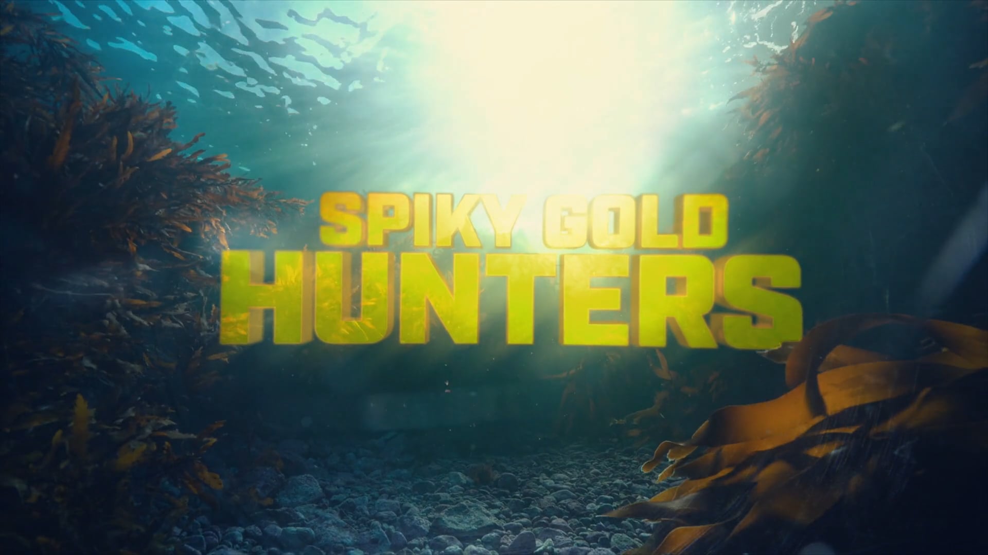 SPIKY GOLD HUNTERS Sizzle