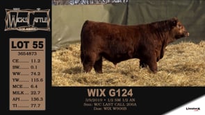 Lot #55 - WIX G124 - OUT