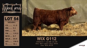 Lot #54 - WIX G112