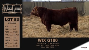 Lot #53 - WIX G100