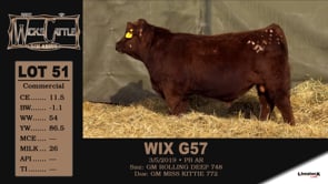 Lot #51 - WIS G57