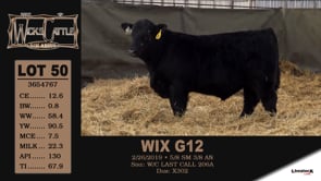 Lot #50 - WIX G12