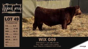 Lot #49 - WIX G09