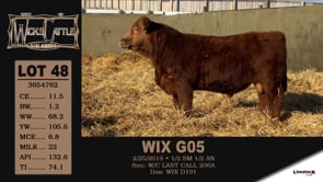 Lot #48 - WIX G05