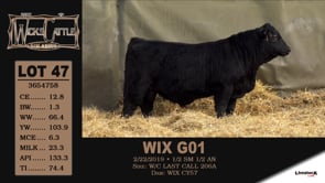 Lot #47 - WIX G01