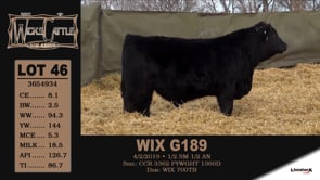 Lot #46 - WIX G189