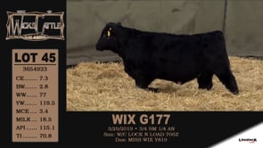 Lot #45 - WIX G177