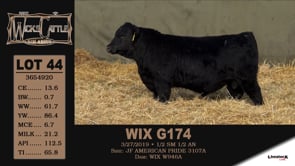 Lot #44 - WIX G174