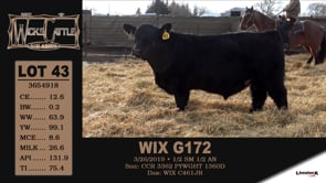 Lot #43 - WIX G172