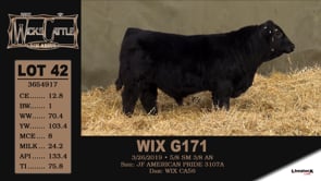 Lot #42 - WIX G171