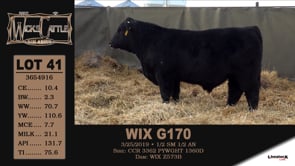 Lot #41 - WIX G170