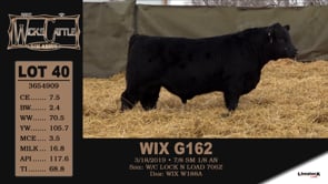 Lot #40 - WIX G162