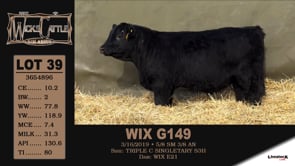 Lot #39 - WIX G149
