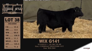 Lot #38 - WIX G141