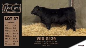 Lot #37 - WIX G139