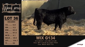 Lot #36 - WIX G134