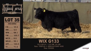 Lot #35 - WIX G133 - OUT