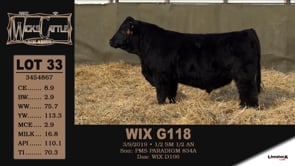 Lot #33 - WIX G118