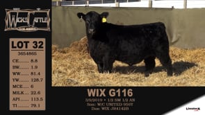 Lot #32 - WIX G116